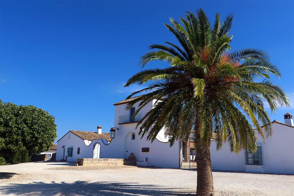Bodegas Cortijo los Aguilares Una bodega joven que ha ganado popularidad