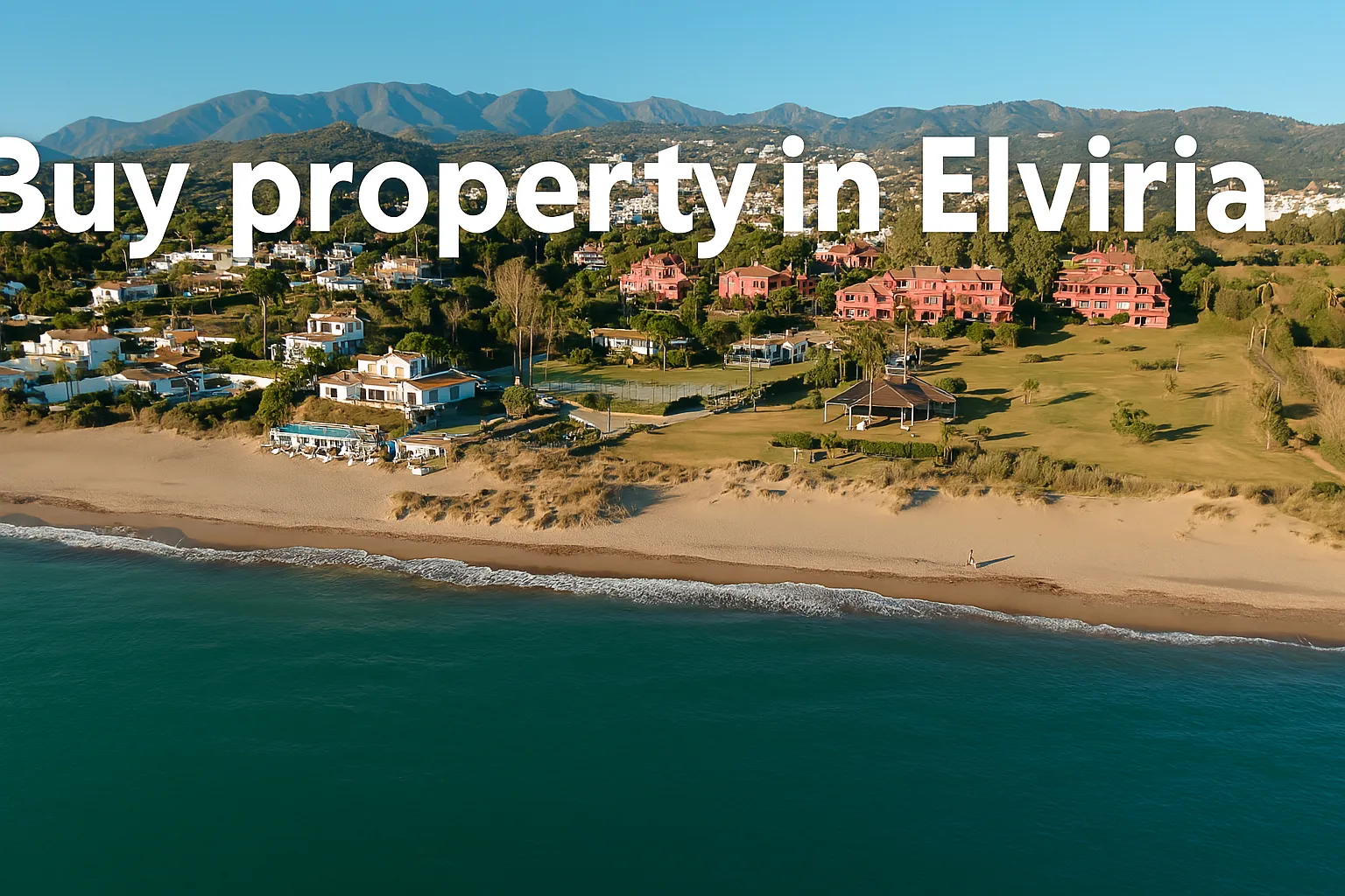 buy property in Elviria