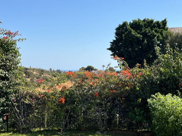 Green Hill 14 Garden