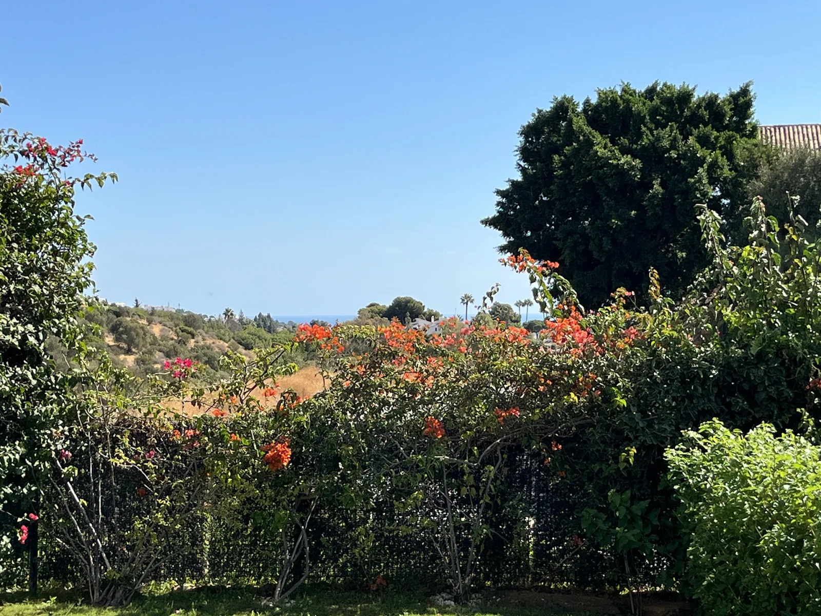 Green Hill 14 Garden