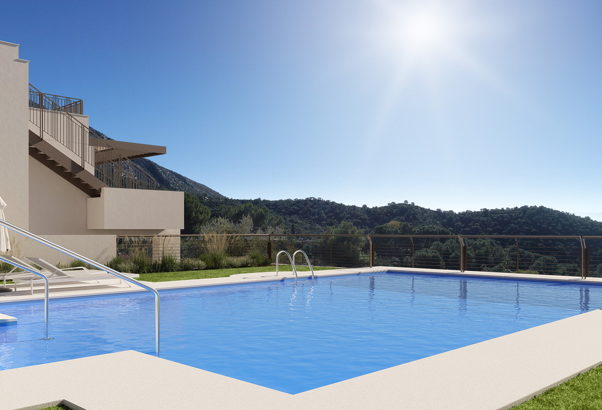 Almazara Forest + Gardens – Istán - outdoor swimming pool with mountain views and modern residential building