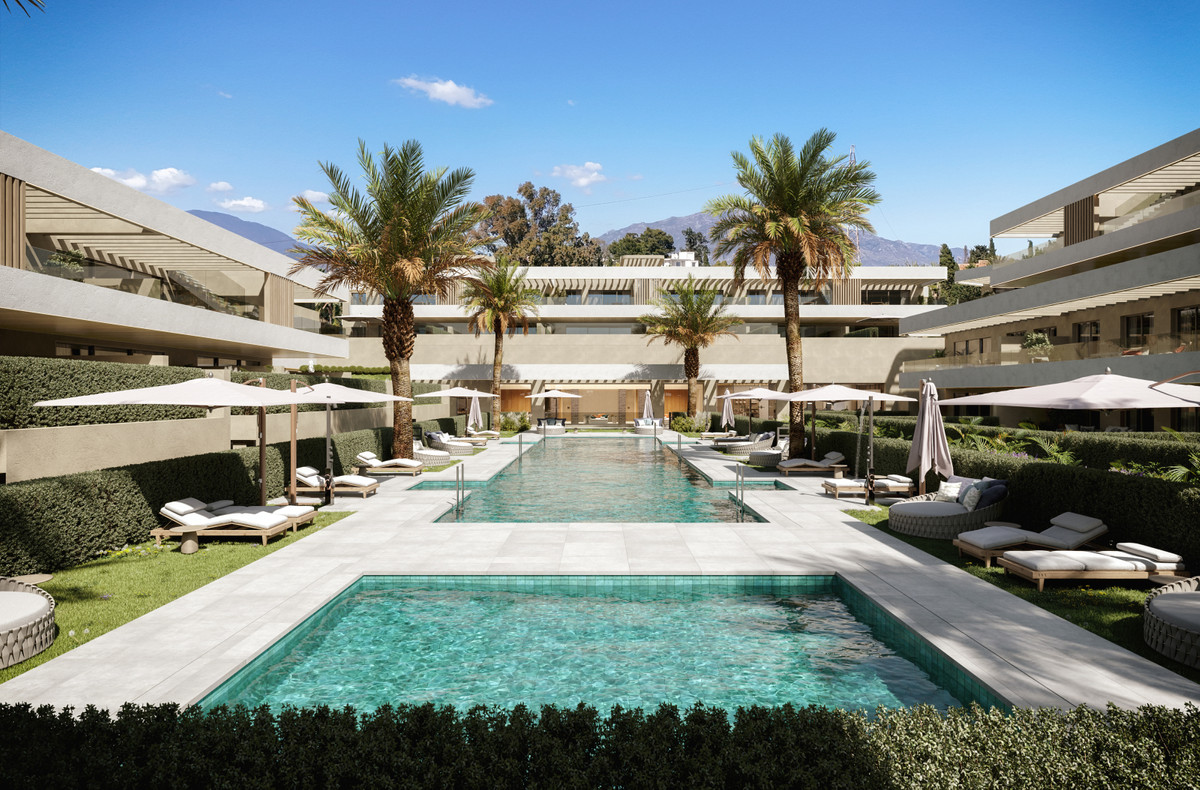 Omnia Estepona – Estepona - luksuriøs udendørs pool med liggestole, palmer og terrasselejligheder