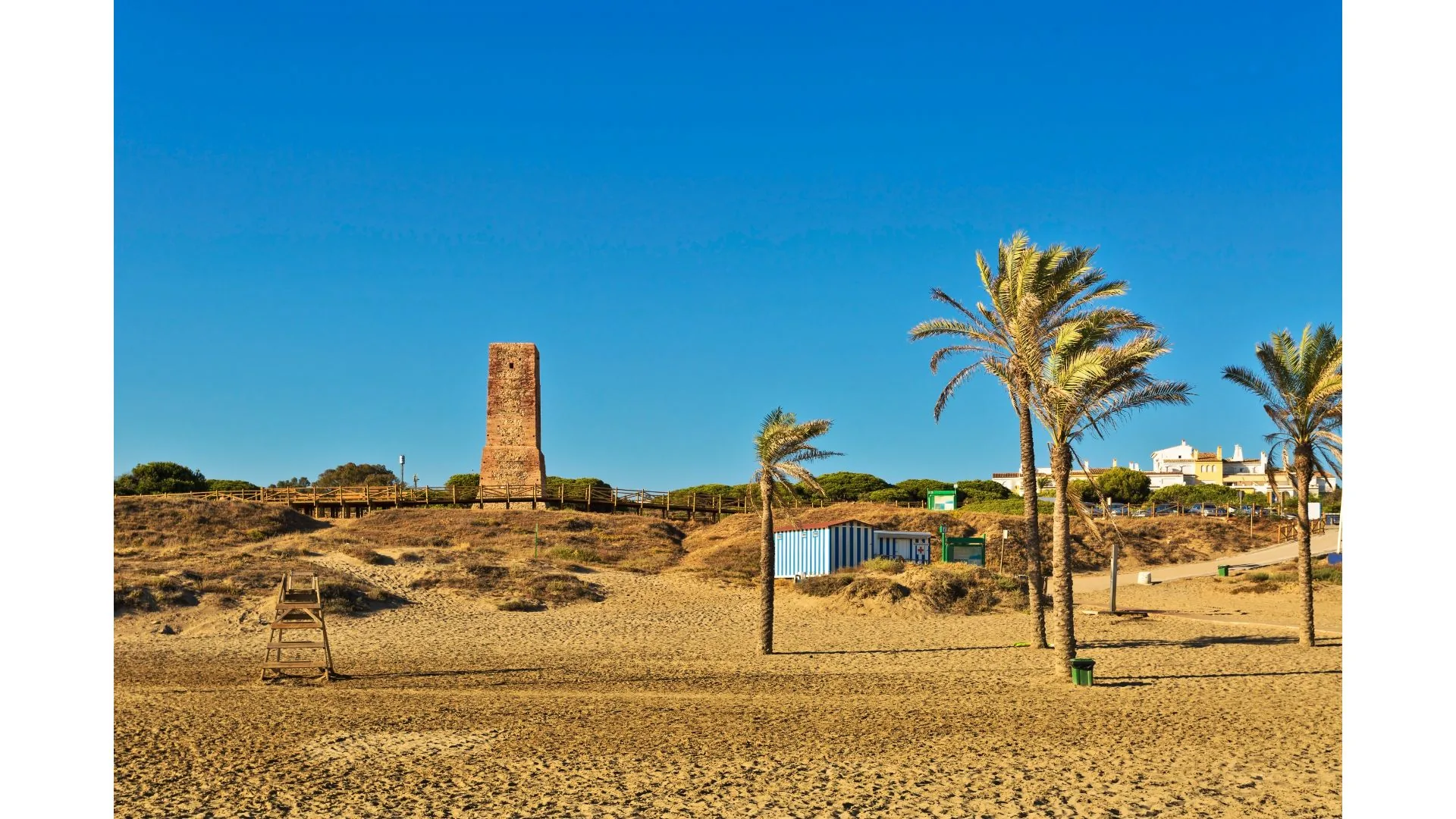 Playa de Cabopino-stranden med palmer og vagttårnet Torre Ladrones bag klitterne